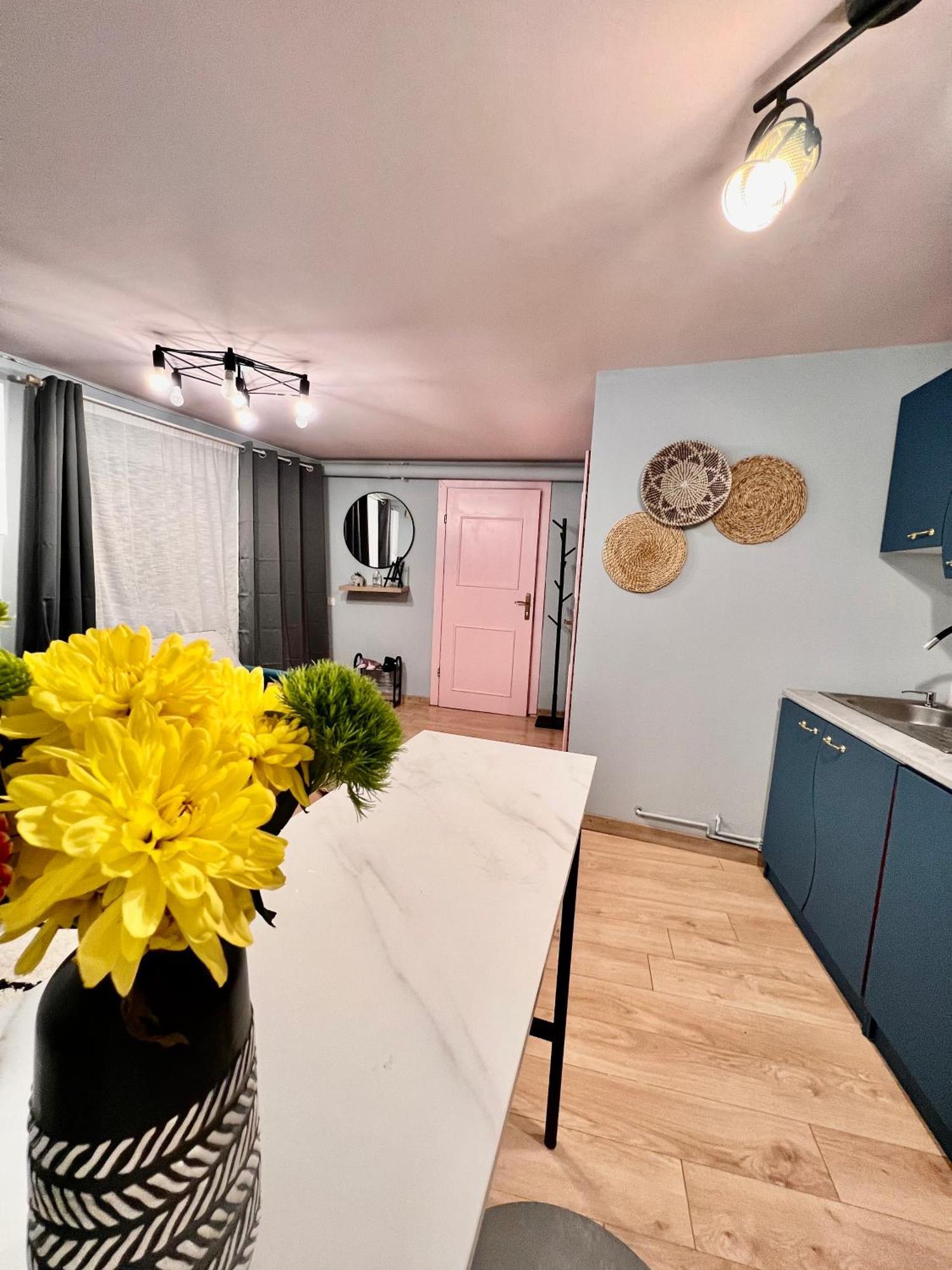 Old Town City Center Apartments Брашов Экстерьер фото